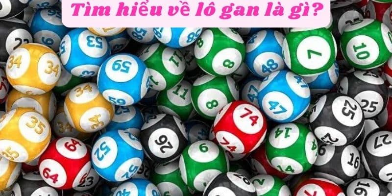 Tìm hiểu chi tiết lô gan là gì?