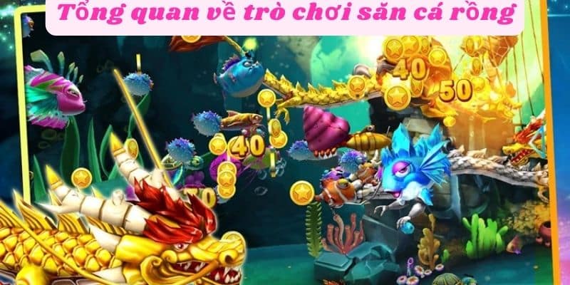 Tổng quan về trò chơi săn cá rồng