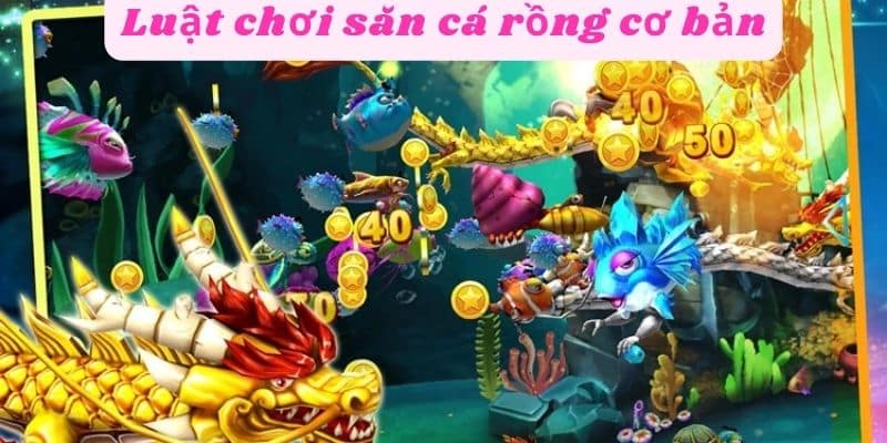 Luật chơi chơi săn cá rồng