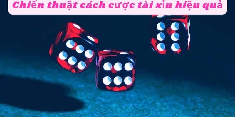 Chiến thuật cách cược tài xỉu chẵn lẻ hiệu quả