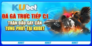 Đá gà trực tiếp C1