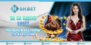 Đá Gà Casino SHBET - Trải Nghiệm Đấu Trường Cực Kỳ Kịch Tính